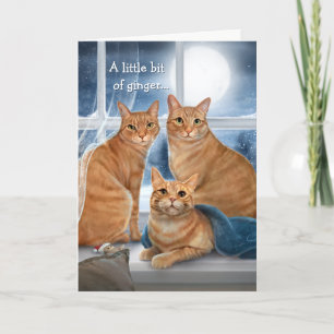 Cartes Pour Fêtes Annuelles Ginger Orange Tabby Chat Joyeux Noël