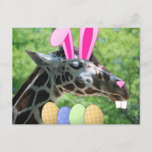 Cartes Pour Fêtes Annuelles Girafe de l'Est