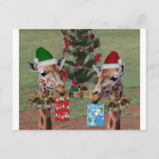 Cartes Pour Fêtes Annuelles Girafes de Noël