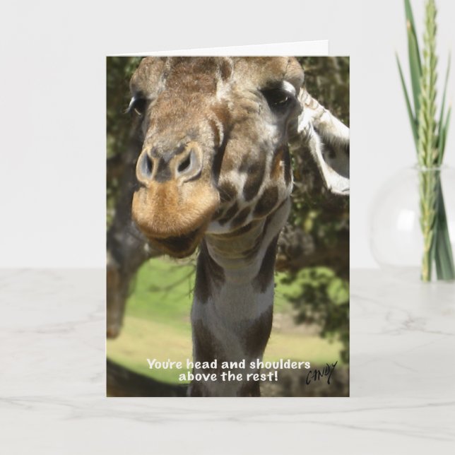 Cartes Pour Fêtes Annuelles Giraffe (Devant)