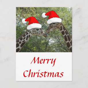 Cartes Pour Fêtes Annuelles Giraffes de Noël