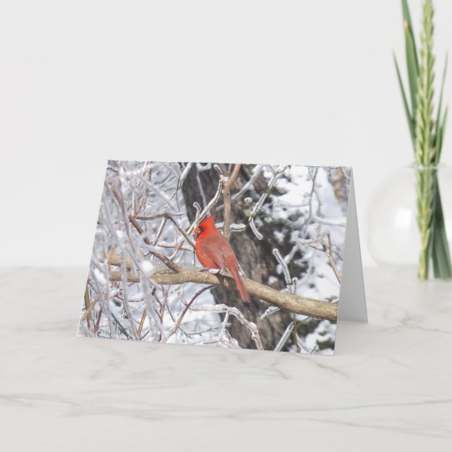Cartes Pour Fêtes Annuelles 'Glace cardinale de n (Devant)