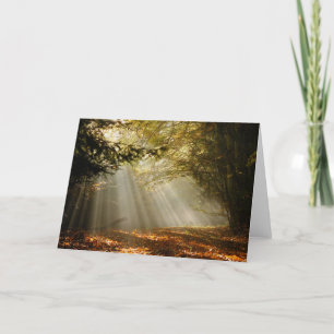 Cartes Pour Fêtes Annuelles Glade de forêt de Sunbeam