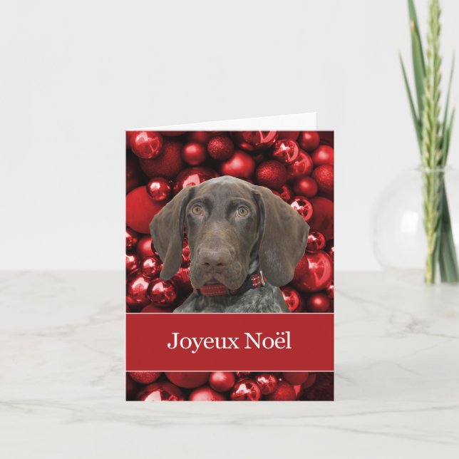 Cartes Pour Fêtes Annuelles Glossy Grizzly Christmas Joyeux Noël (Devant)