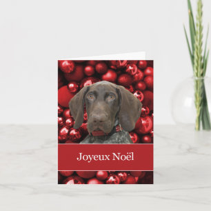 Cartes Pour Fêtes Annuelles Glossy Grizzly Christmas Joyeux Noël
