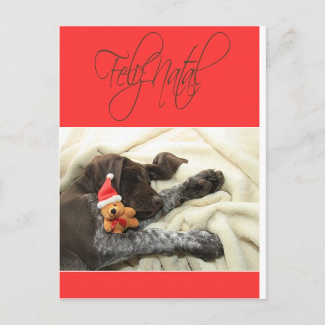 Cartes Pour Fêtes Annuelles Glossy Grizzly Noël Feliz Natal (Devant)