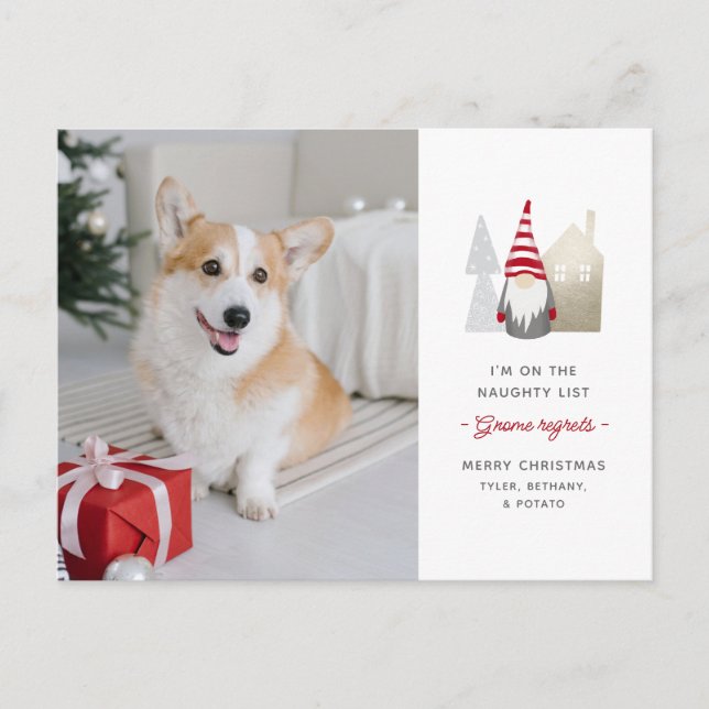 Cartes Pour Fêtes Annuelles Gnome Regrets mignon animal photo Noël (Devant)