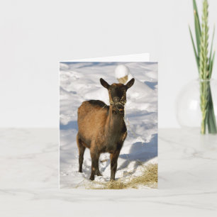 Cartes Pour Fêtes Annuelles Goat in the Snow Xmas card