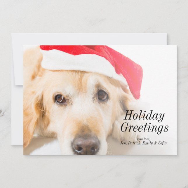 Cartes Pour Fêtes Annuelles Golden retriever avec le casquette de Noël (Devant)