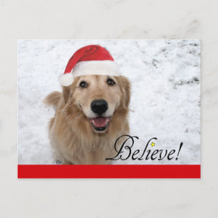 Cartes Pour Fêtes Annuelles Golden Retriever Believe Christmas