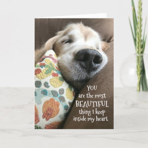 Cartes Pour Fêtes Annuelles Golden Retriever belle chose Saint Valentin