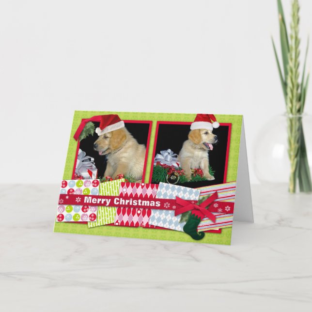 Cartes Pour Fêtes Annuelles Golden Retriever Christmas puppies (Devant)
