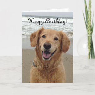 Cartes Pour Fêtes Annuelles Golden retriever de joyeux anniversaire