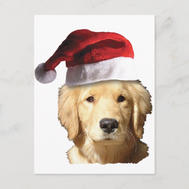 Cartes Pour Fêtes Annuelles Golden Retriever de Noël (Devant)