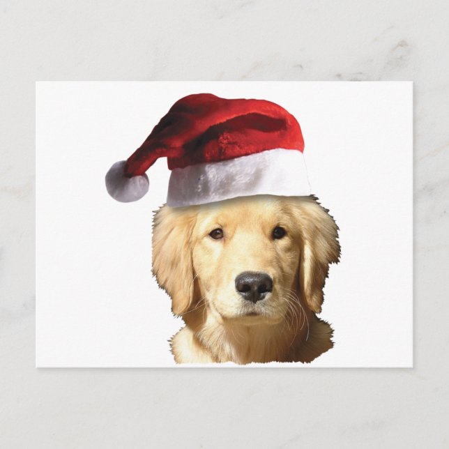 Cartes Pour Fêtes Annuelles Golden Retriever de Noël (Devant)