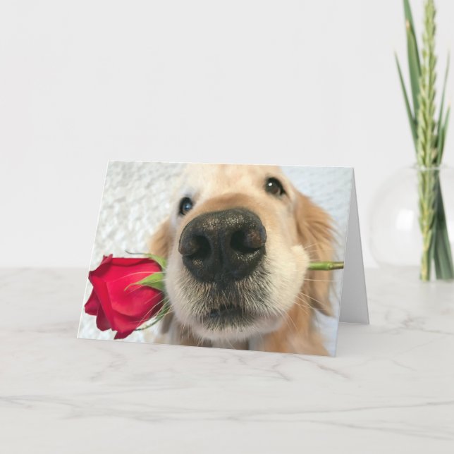 Cartes Pour Fêtes Annuelles Golden Retriever Dog with Red Rose Valentine's Day (Devant)