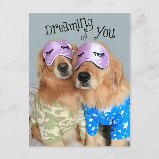 Cartes Pour Fêtes Annuelles Golden Retriever Dreaming of You Saint Valentin (Devant)