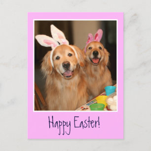 Cartes Pour Fêtes Annuelles Golden Retriever Lapin de Pâques