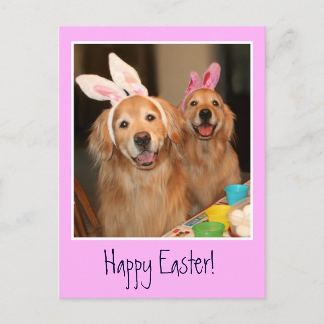 Cartes Pour Fêtes Annuelles Golden Retriever Lapin de Pâques (Devant)