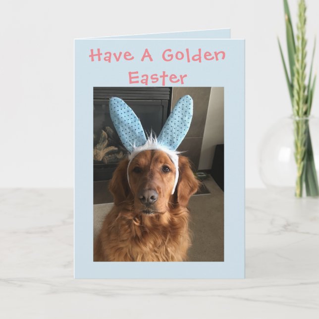 Cartes Pour Fêtes Annuelles Golden retriever Pâques (Devant)