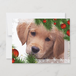 Cartes Pour Fêtes Annuelles Golden Retriever Puppy Christmas