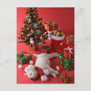 Cartes Pour Fêtes Annuelles Golden Retriever Puppy et Noël