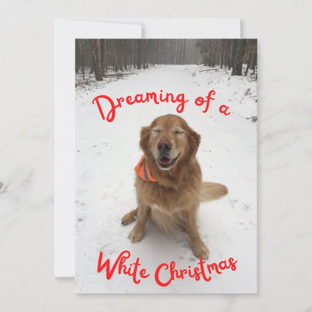 Cartes Pour Fêtes Annuelles Golden Retriever rêve de Noël blanc (Devant)