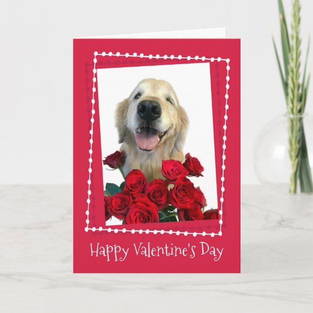 Cartes Pour Fêtes Annuelles Golden Retriever with Red Roses Saint Valentin (Devant)