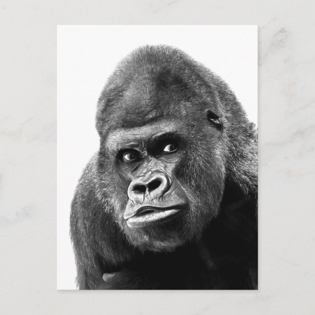 Cartes Pour Fêtes Annuelles Gorille noire blanche (Devant)