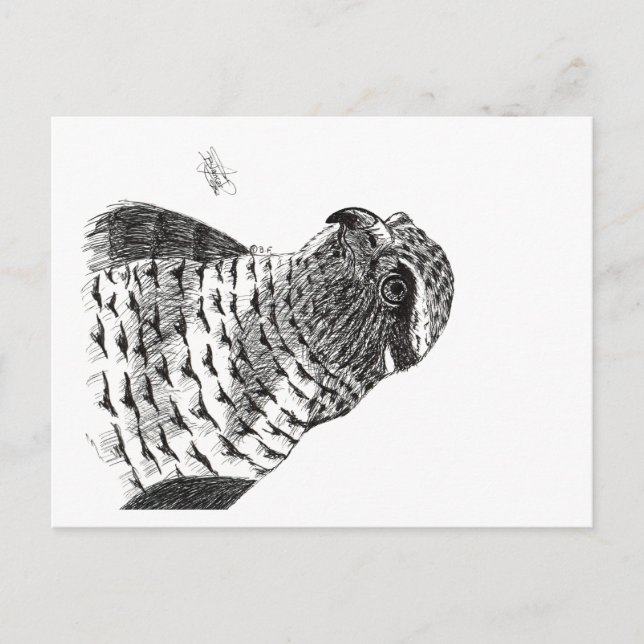 CARTES POUR FÊTES ANNUELLES GOSHAWK (Devant)