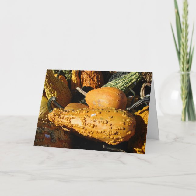 Cartes Pour Fêtes Annuelles Gourds, Thanksgiving (Devant)