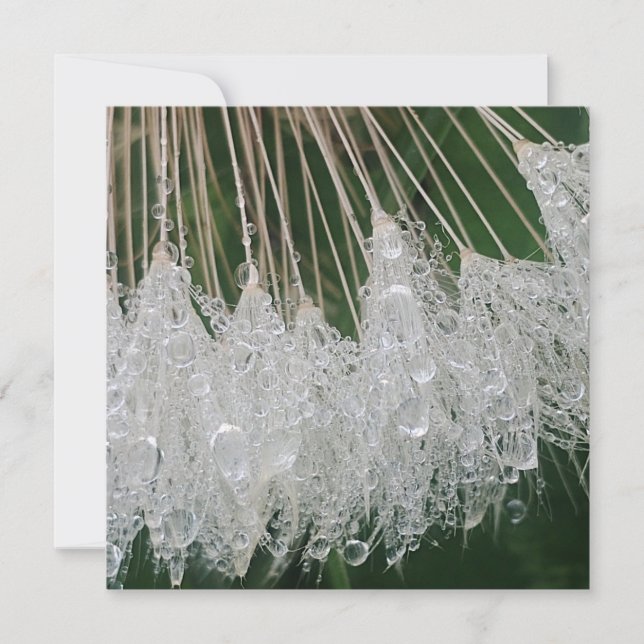 Cartes Pour Fêtes Annuelles gouttelettes d'eau (Devant)
