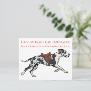 Cartes Pour Fêtes Annuelles Grand Danois Randonnée de Noël