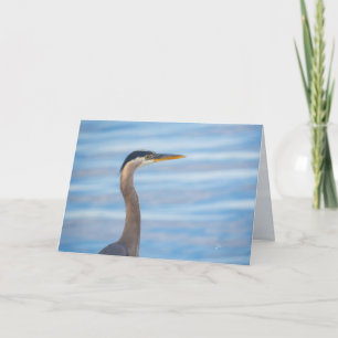 Cartes Pour Fêtes Annuelles Grand Héron Bleu Faune Oiseau Photographie Fond