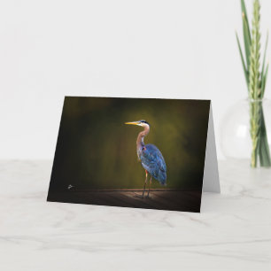 Cartes Pour Fêtes Annuelles Grand Héron bleu sur quai rustique au coucher du s