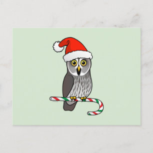 Cartes Pour Fêtes Annuelles Grande chouette grise Père Noël