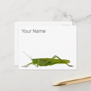 Cartes Pour Fêtes Annuelles Grasshopper ou Hayhorse Retro Insect animal cadeau