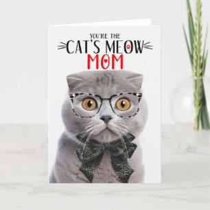 Cartes Pour Fêtes Annuelles Gray Scottish Pold Cat pour maman le jour de la fê