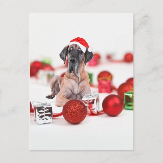 Cartes Pour Fêtes Annuelles Great Dane (Devant)