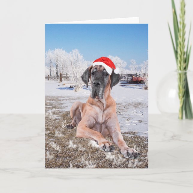 Cartes Pour Fêtes Annuelles Great Dane (Devant)