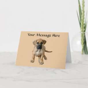 Cartes Pour Fêtes Annuelles Great Dane King of Dogs