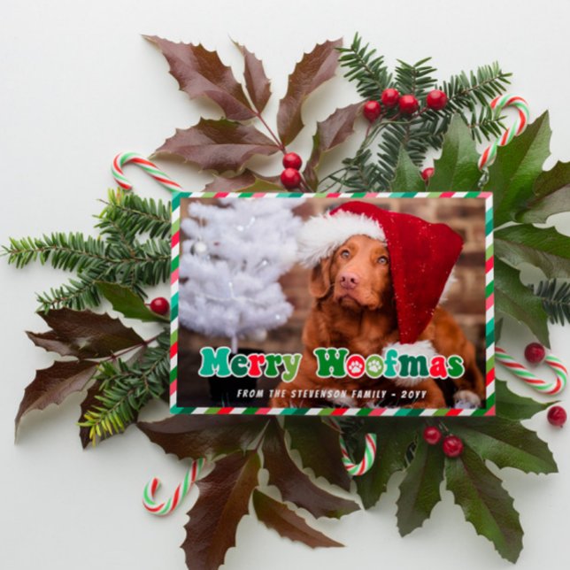 Cartes Pour Fêtes Annuelles Green Red Mint Retro Merry Woofmas Chien Noël (Créateur téléchargé)