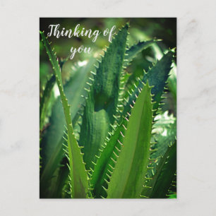 Cartes Pour Fêtes Annuelles Green Sea Leaf Garden Plante Penser à vous