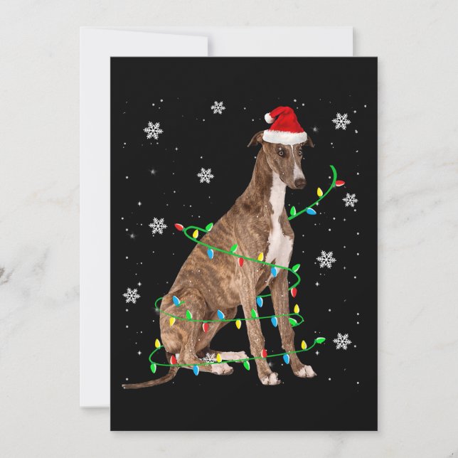 Cartes Pour Fêtes Annuelles greyhound noël léger père Noël greyhound (Devant)