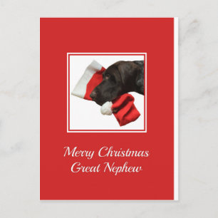 Cartes Pour Fêtes Annuelles Grizzly brillant Grand neveu Joyeux Noël
