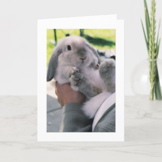 Cartes Pour Fêtes Annuelles gros