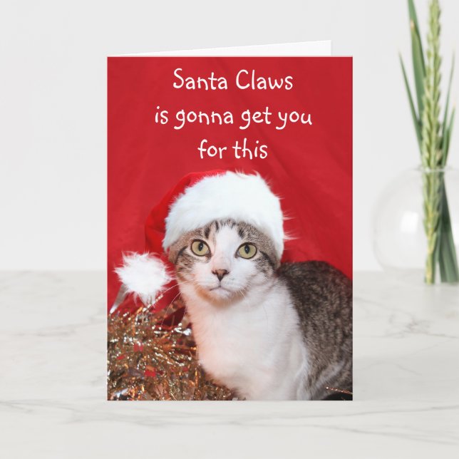 Cartes Pour Fêtes Annuelles Grouchy Christmas cat (Devant)