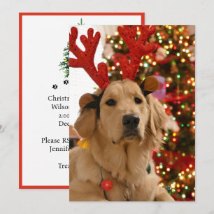 Cartes Pour Fêtes Annuelles Groupe de jeu de Noël pour chiens Amis à fourrure