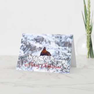 Cartes Pour Fêtes Annuelles Groupement dans un blizzard Joyeux Noël Card