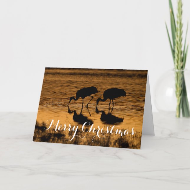 Cartes Pour Fêtes Annuelles Grues de Sandhill, Joyeux Noël (Devant)